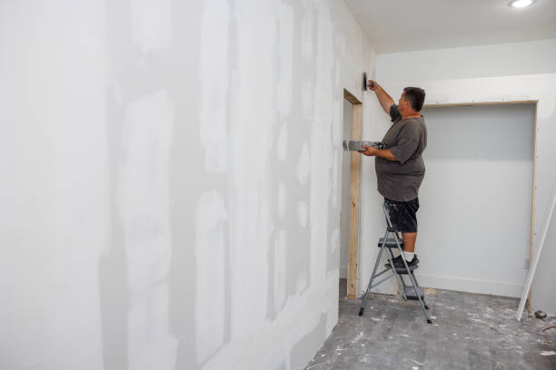 Best Mold Remediation for Rental Properties  in USA